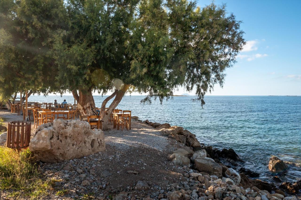 Villa Alexandros Luxury House Phalasarna Exterior foto